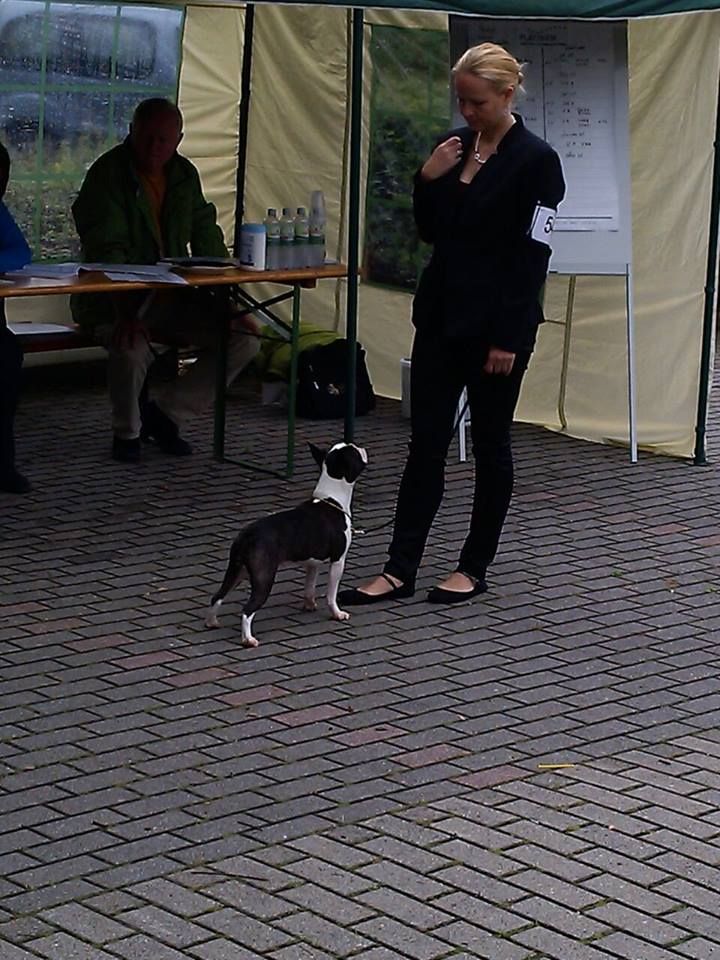 10590427_422832681189648_3546938970913807370_n